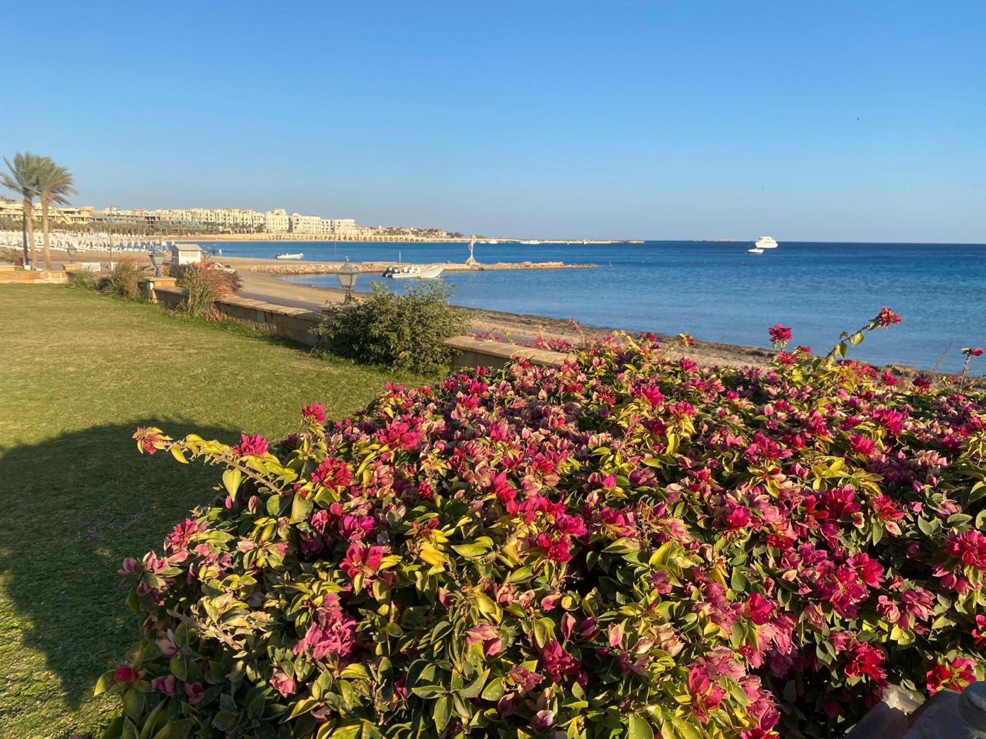 Appartement Cozy In Azzurra Sahl Hasheesh 95 Sqm *